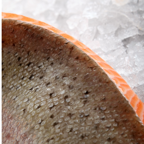 Freeze-Dried Protein Puffs